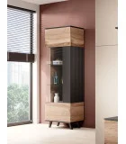 RANDOM W-1 DISPLAY CABINET, COLOR: WOTAN OAK/BLACK order